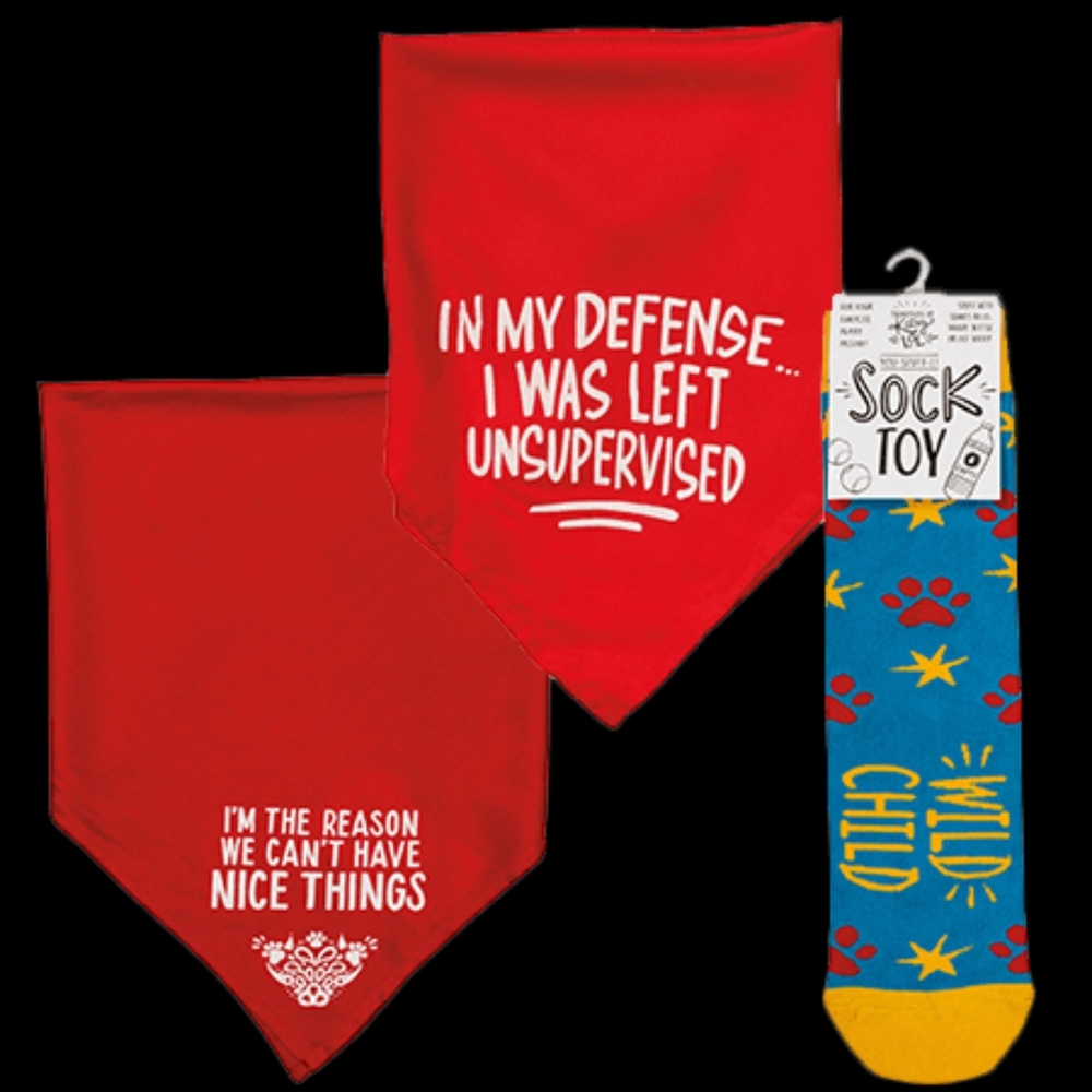 Pet Talking Bandanas